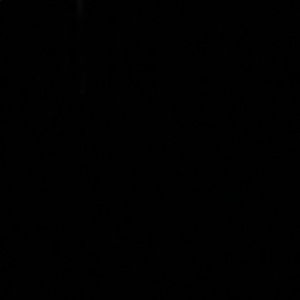 Meet your Posher, Cleo